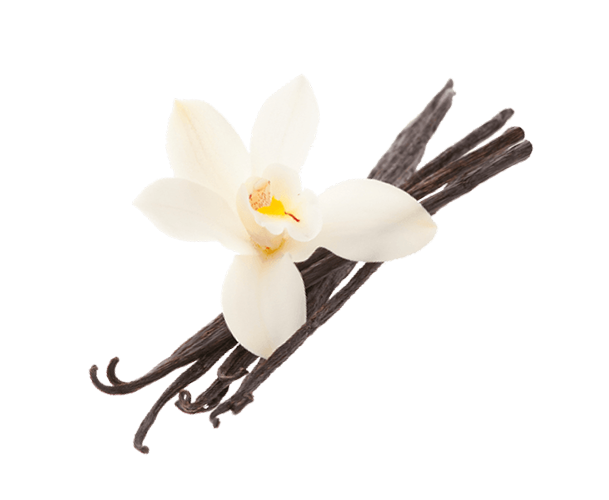 https://www.torteccetera.com/wp-content/uploads/2018/09/vaniglia.png
